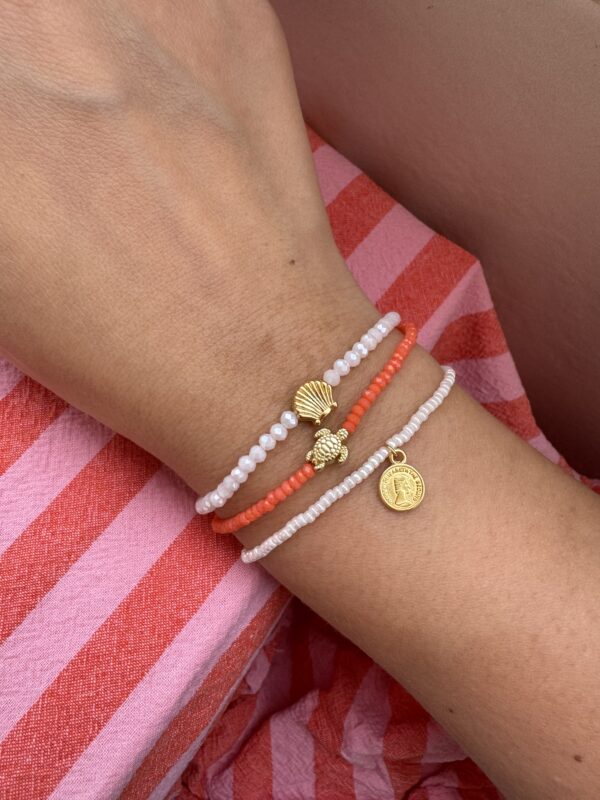 Pulserita concha - Imagen 2