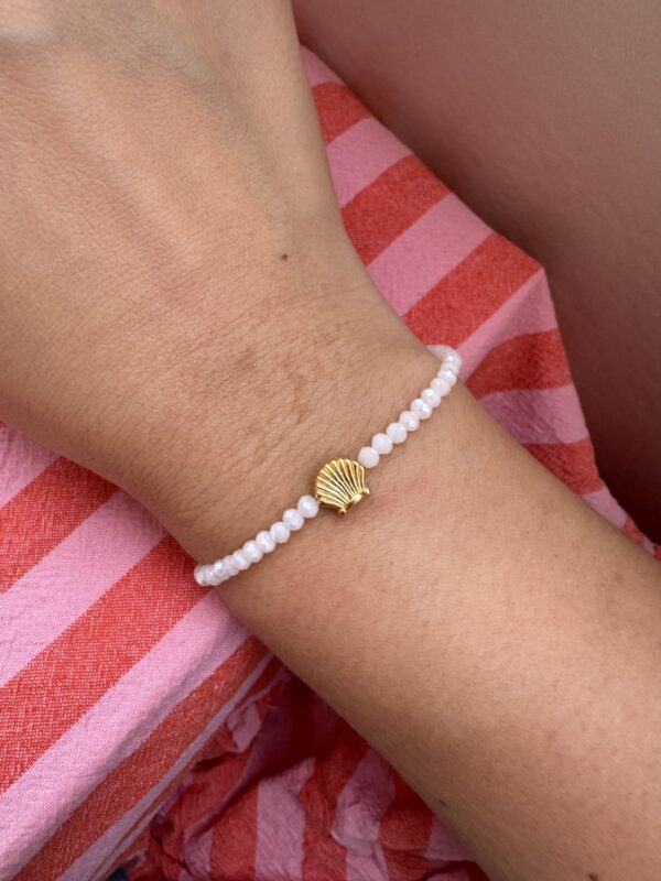 Pulserita concha